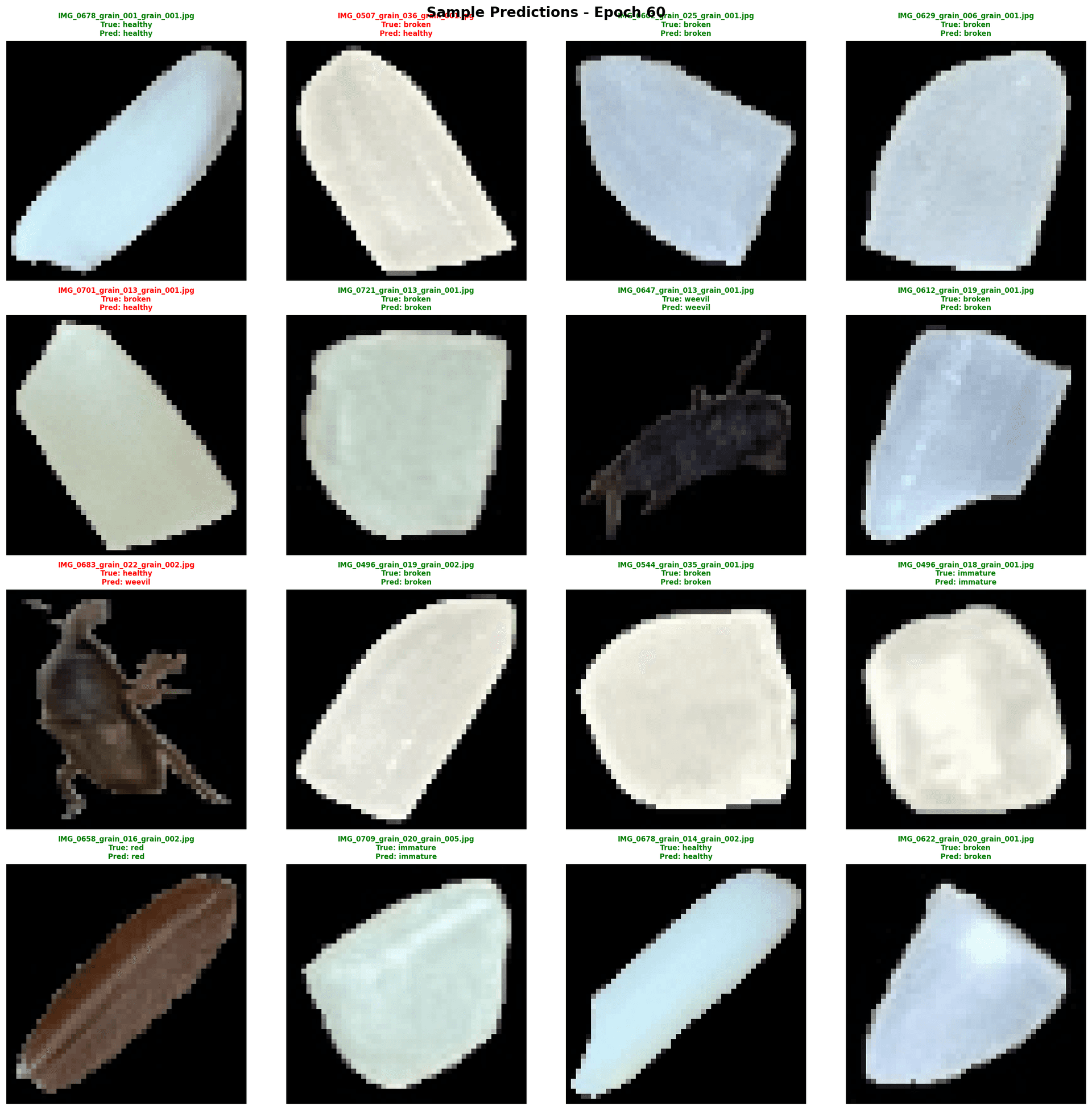 TinyMobile classifier sample predictions at epoch 60 — 9 grain classes